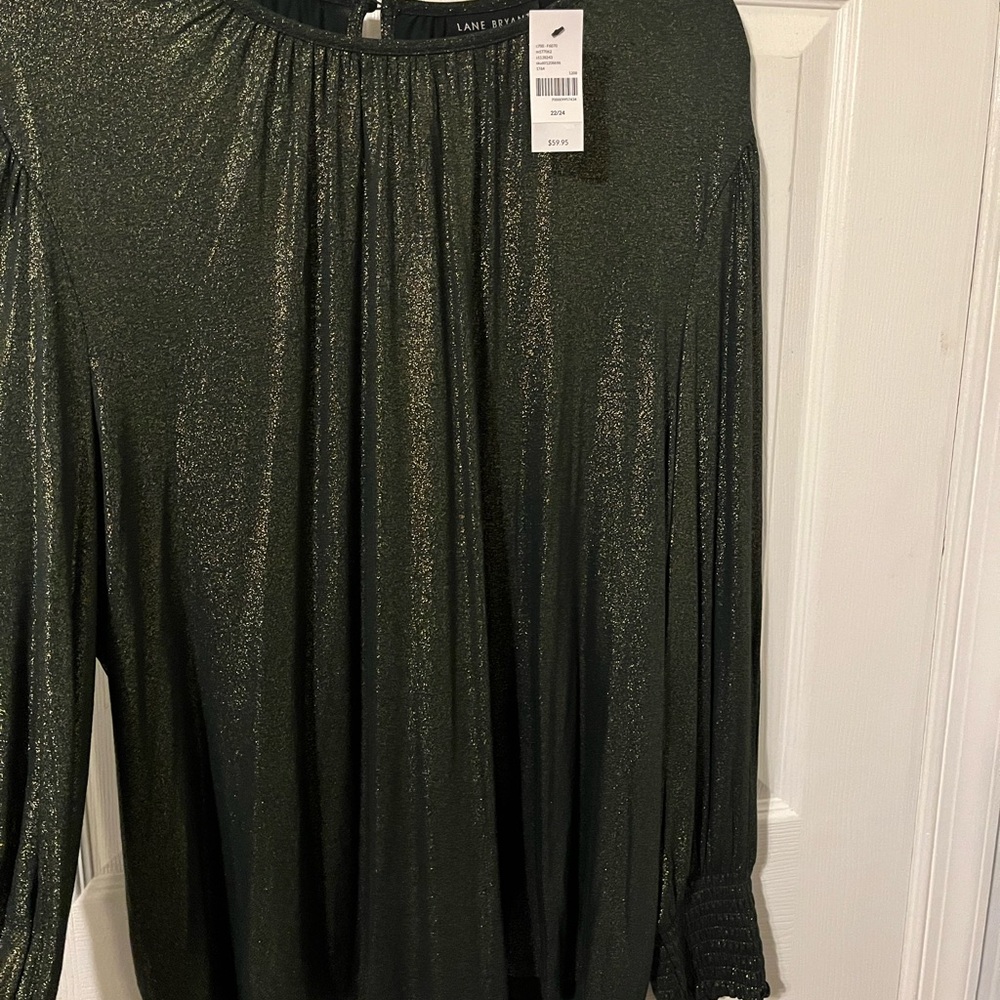 Shimmering Green Blouse